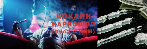 индика Абинск
