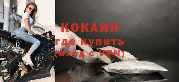индика Абинск