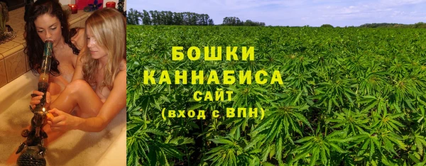 прущие грибы Абдулино