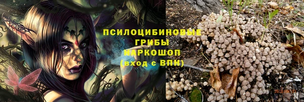 индика Абинск