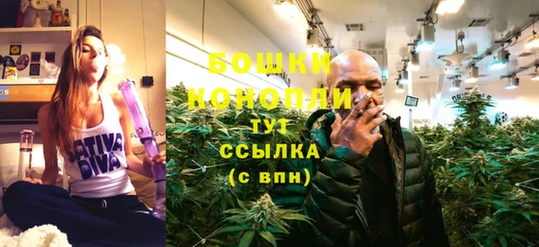 спиды Каменка