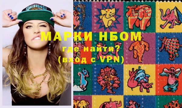 индика Абинск