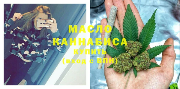индика Абинск