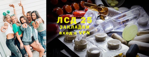 индика Абинск