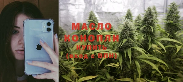индика Абинск