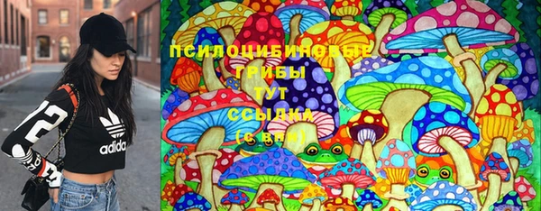 индика Абинск