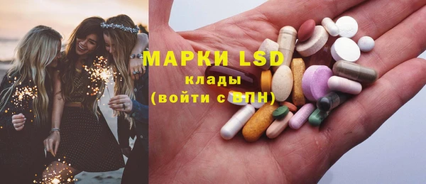 индика Абинск