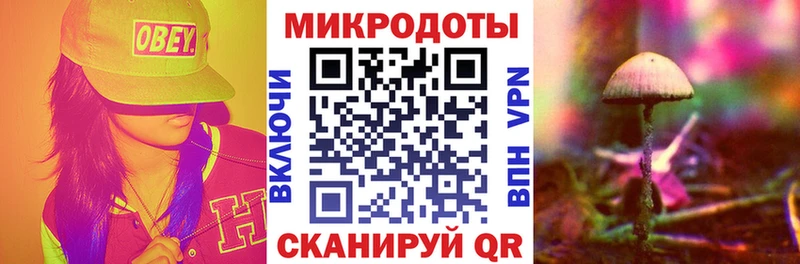 блэк спрут сайт  мориарти Telegram  Галлюциногенные грибы Cubensis  Домодедово 