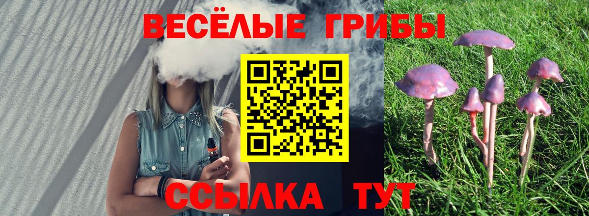 Галлюциногенные грибы ЛСД Домодедово