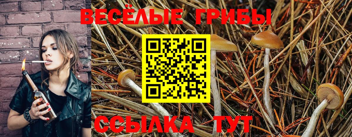 Галлюциногенные грибы MAGIC MUSHROOMS  где купить наркотик  Вход с VPN  Домодедово  Псилоцибиновые грибы Cubensis 